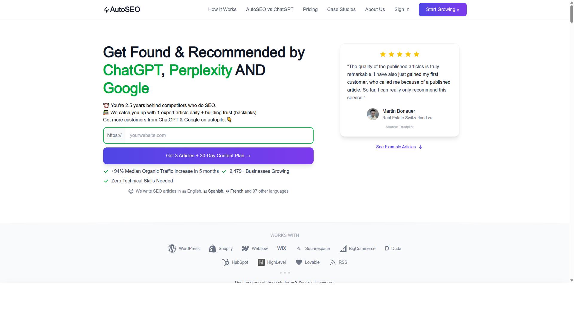 AutoSEO website